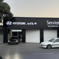 مجتمع تعمیرگاهی هیوندا،کیا دالوند