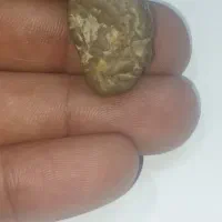 مهره (زوعه مار)اصل