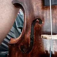 ویولن|ویولن|تهران, سردارجنگل|دیوار