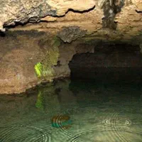 سالن گاوداری  مناسب   دامداری