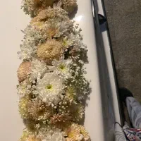 گل ماشین عروس|گل و گیاه طبیعی|اصفهان, پوریای ولی|دیوار