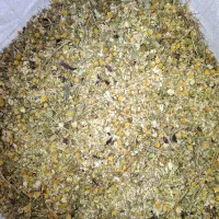 فروش عمده بابونه