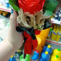 رز ربانی|گل مصنوعی|اشنویه, |دیوار