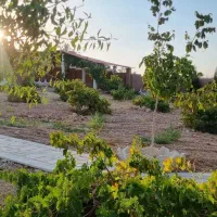 باغ شهری ۱۰۰۰ هزار متری شیراز باجگاه