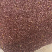 بذرجارو تخم جارو