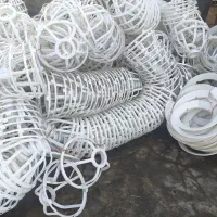 سینی یه روزه پرنده مرغ و دونخوری بوقلمون|عمدهفروشی|گرمسار, |دیوار