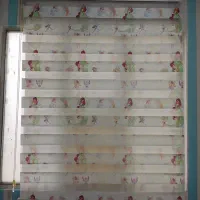 پرده زبرا و حریر درحدنو
