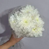 دسته گل طبیعی|گل و گیاه طبیعی|مشهد, مشکینی (شهرک غرب)|دیوار