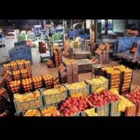 توزیع پخش میوه و تره بار با کمترین قیمت|خوردنی و آشامیدنی|تهران, میدان میوه و ترهبار مرکزی|دیوار