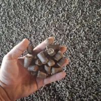 تفاله فشنگی چغندر