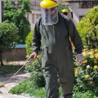 سمپاشی سوسک کابینت .سوسک بزرگ .ساس و حشرات موذی|خدمات نظافت|تهران, گلستان (شهرک راه آهن)|دیوار