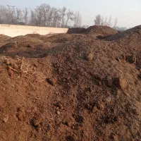 کود حیوانی کود کمپوست کود گاوی گوسفندی|گل و گیاه طبیعی|رباط‌کریم, رباط‌کریم|دیوار