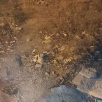 فروش-قطعه-در-با-سمتج-مهران-شهر