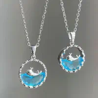 اکسسوری،بدلیجات