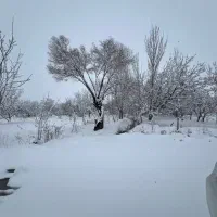 زمین