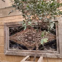 کلنگی-120-متر-موقعیت-دارد-جنوبی-2-طبقه