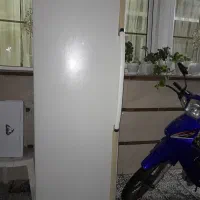 فریزر الکترو استیل