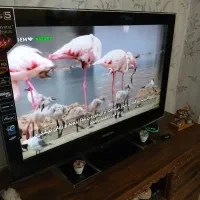 تلویزیون سامسونگ 32اینچ