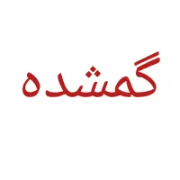 کیف پول گمشده