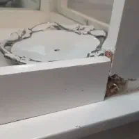 گنجه با وسایل|بوفه، ویترین، کنسول|طبس, |دیوار