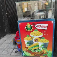 ذرت مکزیکی نوح می‌باشد