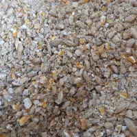 جوزرتدرجهیک|عمدهفروشی|مهران (ایلام), |دیوار