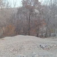زمین باغی ۱۴۰۰ متر حاشیه جاده طرقبه