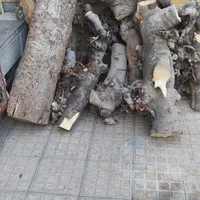 چوب درخت انجیر|ابزارآلات|اصفهان, عطار نیشابوری|دیوار
