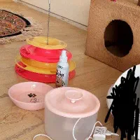 خانه گربه|لوازم جانبی حیوانات|ارومیه, |دیوار