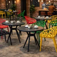 صندلی پلاستیکی شادلین