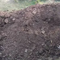 کود حیوانی (پهن)