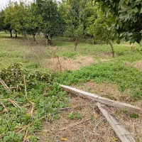 زمین-خانه-سری