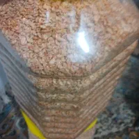 فروش گاماروس غذای ماهی|ماهی|چابکسر, |دیوار