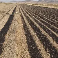 زمین مسکونی نقنه پشت بهداشت قدیم