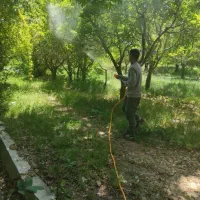 سمپاشی وباغبانی بامهرفاکتور شرکت درسراسرتهران|خدمات باغبانی و درختکاری|تهران, ونک|دیوار