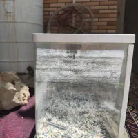 وقت بخیر آکواریوم شرکتی خمیده بدون جزعی ترین عیب|ماهی|اهواز, زرگان|دیوار