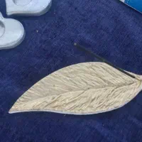 جاعودی مدل برگ|مجسمه، تندیس، ماکت|آبادان, |دیوار