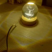 برقکاری ساختمان و حیاط