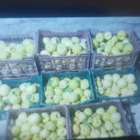 میوه به اصفهان|خوردنی و آشامیدنی|شیراز, لشکری‎|دیوار