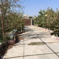 باغ با درخت قدیمی سند دار جیتو تبرئه کشاورزی|فروش خانه و ویلا|پاکدشت, پاکدشت (مامازند)|دیوار