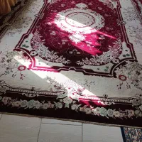 فرش ۵۰۰ شانه|فرش|لاهیجان, امیرشهید|دیوار