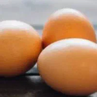 مرغ و تخم مرغ
