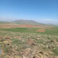 زمین