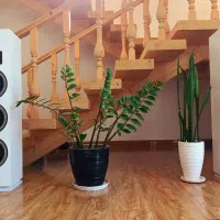 استند خانگی برقی|سایر لوازم برقی|سرخرود, |دیوار