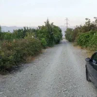 باغچه