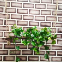 استند چوب گل اویز