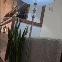 اباژور کنار سالنی