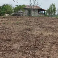 زمین باغی ویو ابدی