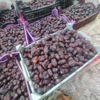 سلام سه تن مضافتی یک تن خرمایی ازاد چیز خوب دارم|خوردنی و آشامیدنی|کهنوج, |دیوار