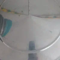 سبزی خرد کن صنعتی|خردکن، آسیاب، غذاساز|شوش, |دیوار